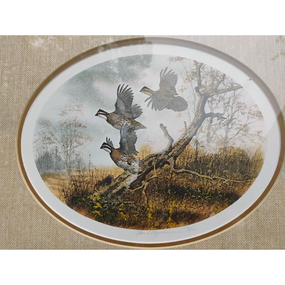 David Hagerbaumer Game Birds Signed Print Limited Edition 236/450 Framed